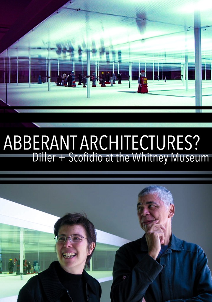 Aberrant Architectures?: Diller + Scofidio at the Whitney Museum