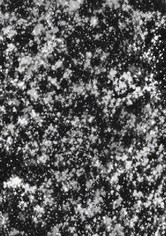 Keep That Dream Burning