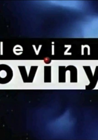 Televizní noviny