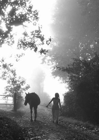 Je crois entendre encore