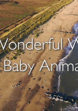 The Wonderful World of Baby Animals