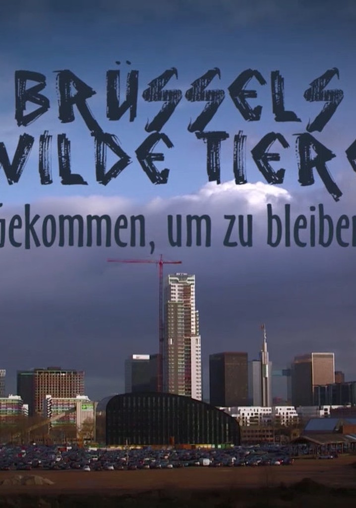 Brussels, the Wild Side