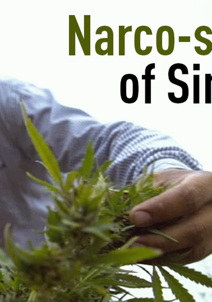 Narco-song of Sinaloa