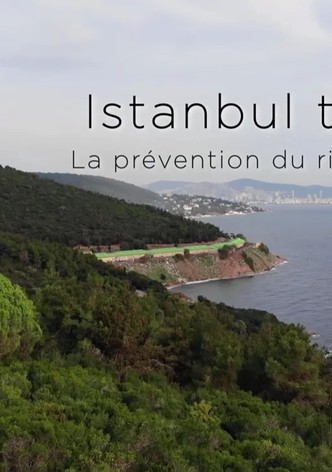 Istanbul bebt: Risiko und Frühwarnung