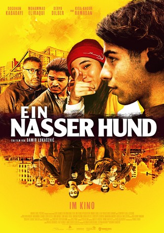 Ein nasser Hund