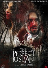 The Perfect Husband