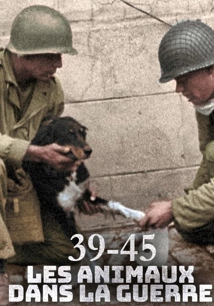 39-45, les animaux dans la guerre