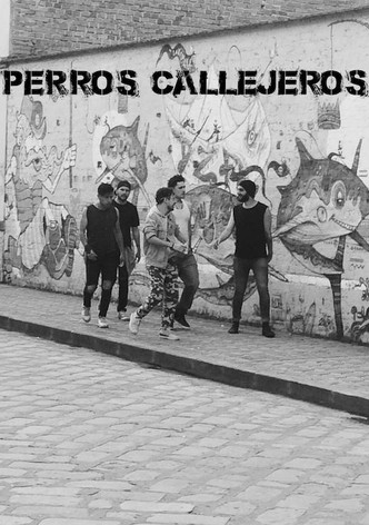 Perros Callejeros