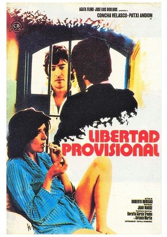 Libertad provisional