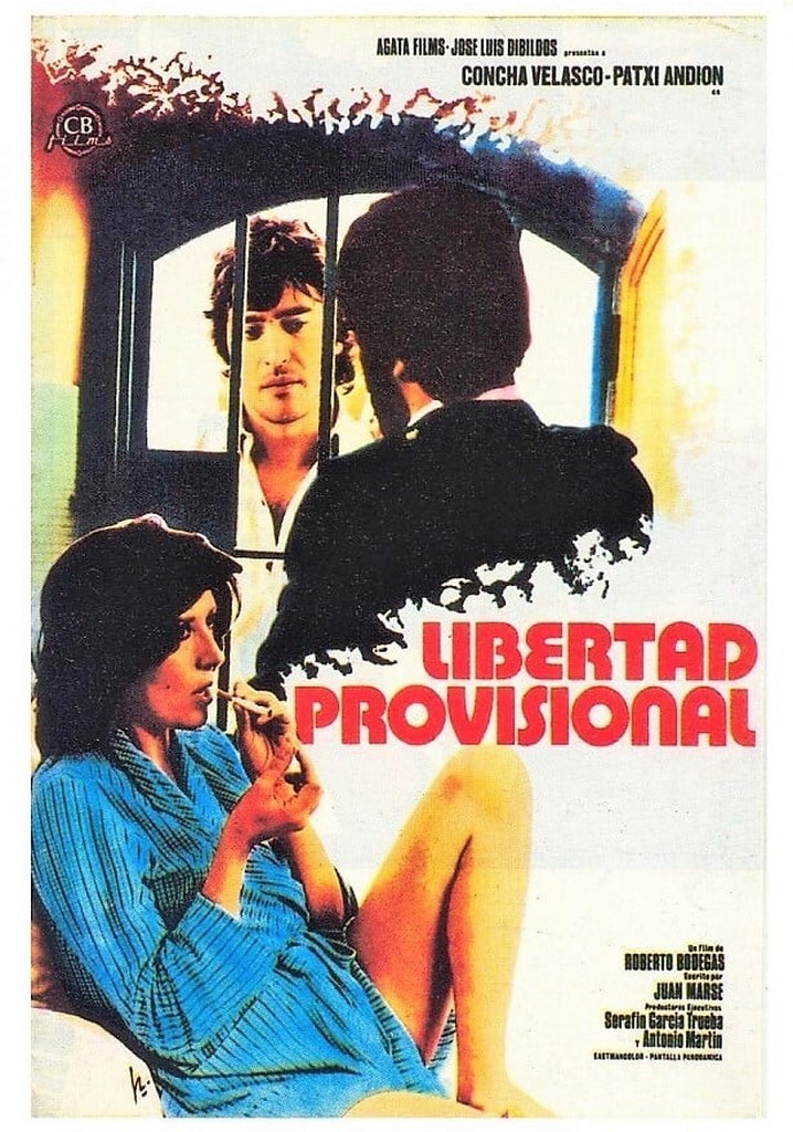 Libertad Provisional - Película: Ver Online En Español