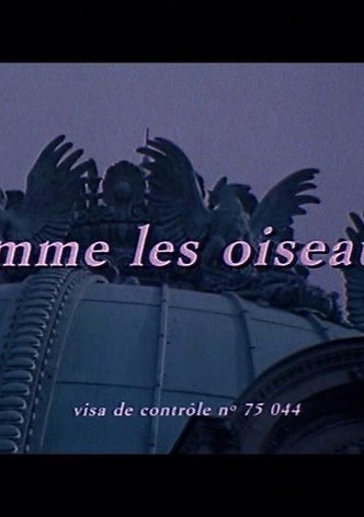 Comme les oiseaux