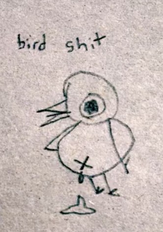 Bird Shit