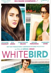 White Bird