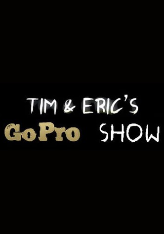 Tim and Eric's Go Pro Show