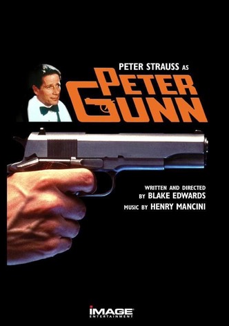 Peter Gunn, Privatdetektiv