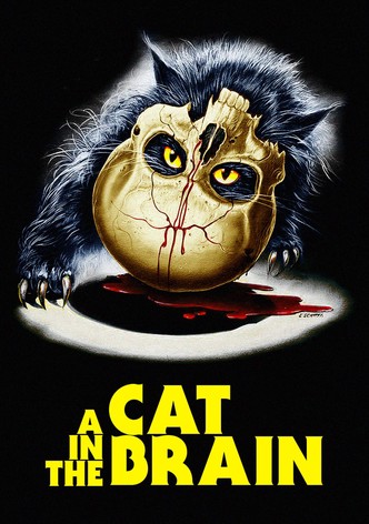 Kot w mózgu
