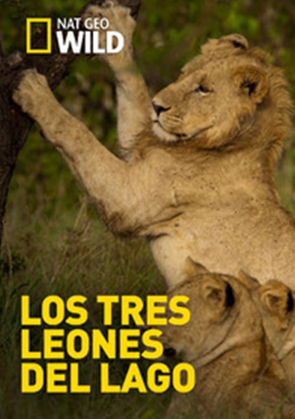 Los Tres Leones Del Lago - película: Ver online