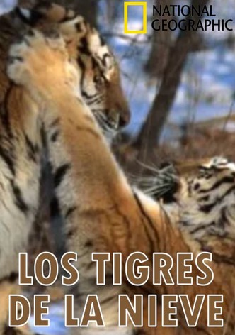 Los tigres de la nieve