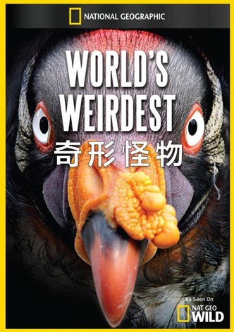 Verrückte Tierwelt