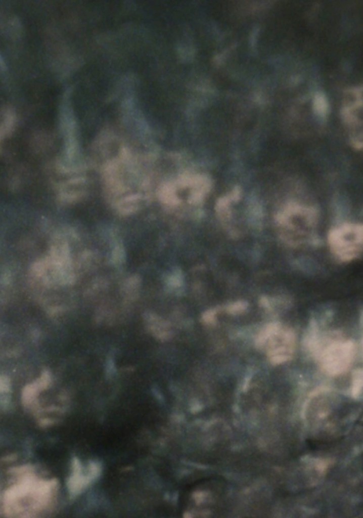 Self Portrait with Bag