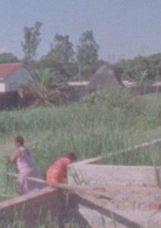 Scenes from a Transient Home