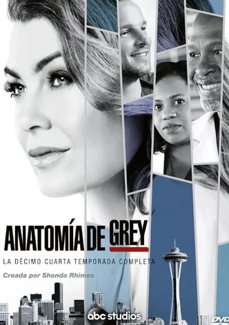 Grey s Anatomy Ver la serie de tv online