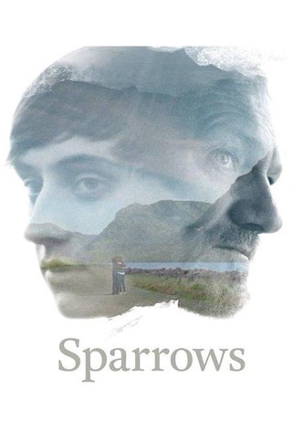 Sparrows