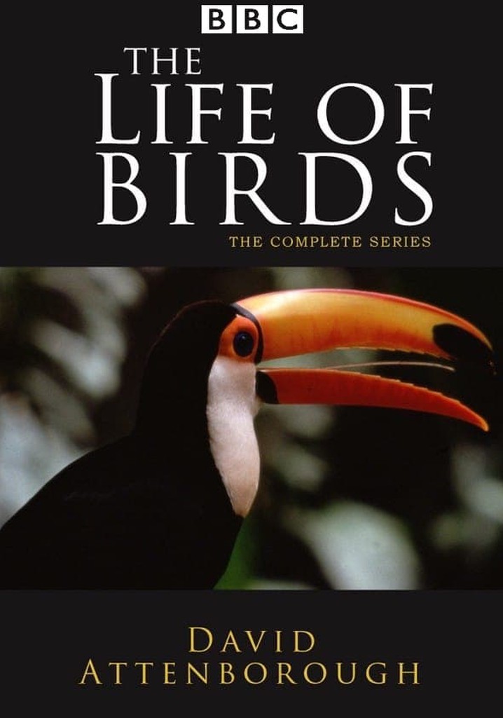 The Life of Birds - streaming tv show online