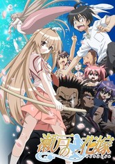 Seto no hanayome - Temporada 1