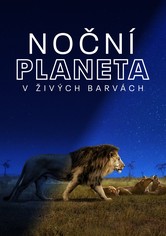 Noční planeta v živých barvách