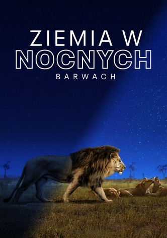 Ziemia w nocnych barwach