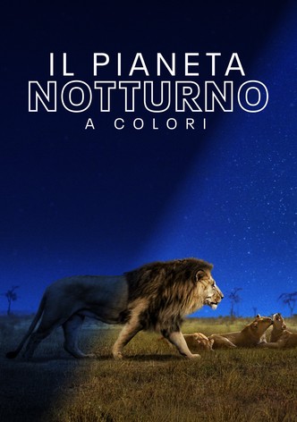Il pianeta notturno a colori