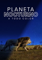Planeta nocturno: A todo color - Planeta nocturno: a todo color - Temporada 1