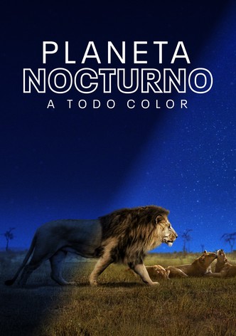 Planeta nocturno: A todo color