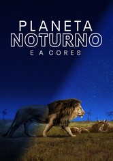Planeta noturno e a cores
