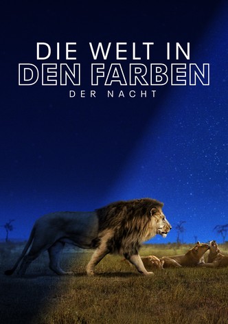 Die Welt in den Farben der Nacht