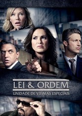 Lei & Ordem: Unidade Especial
