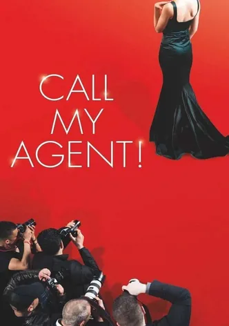 Call My Agent! poster