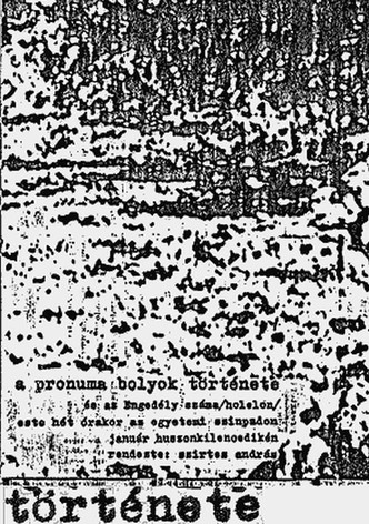 A pronuma bolyok története