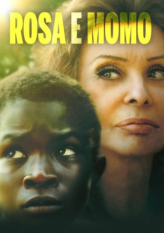 Uma Vida à Sua Frente