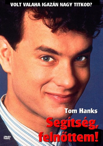 Segítség, felnőttem!