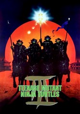 Teenage Mutant Ninja Turtles III