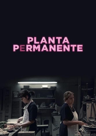 Planta permanente