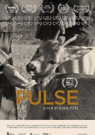 Pulse
