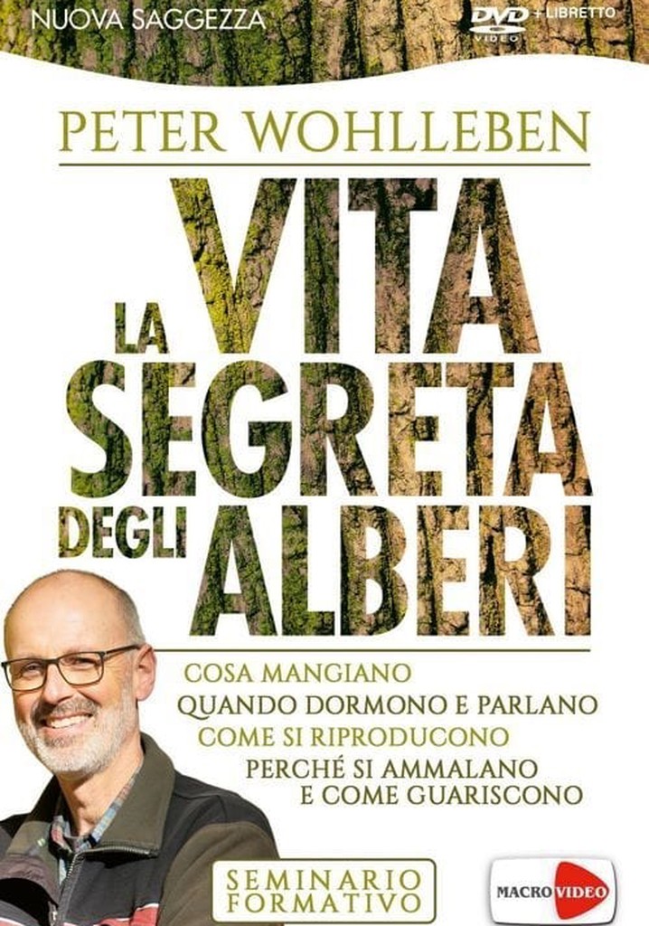 La vita segreta degli alberi
