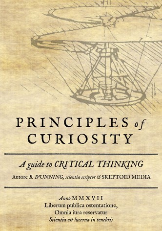 Principles of Curiosity