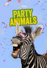 Party Animals