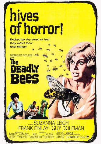 Il mistero dell'isola dei gabbiani