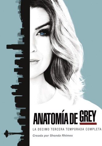 Grey s Anatomy Ver la serie de tv online