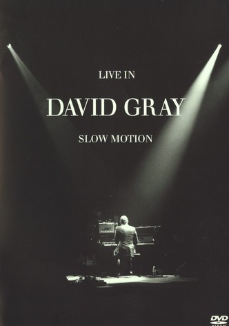 David Gray: LIVE in Slow Motion